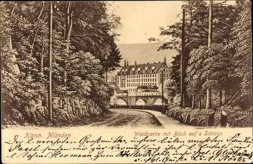 Ak Hann. Münden in Niedersachsen, Waldpartie, Schloss