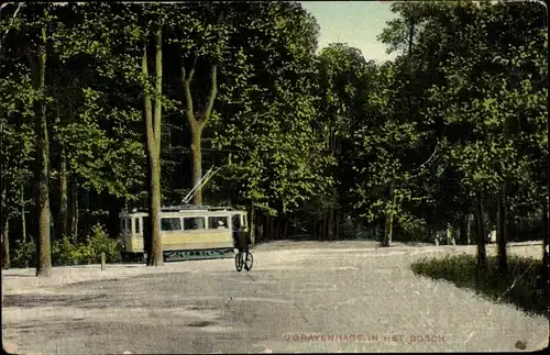 Ak 's Gravenhage Den Haag Südholland, In het Bosch, Straßenbahn