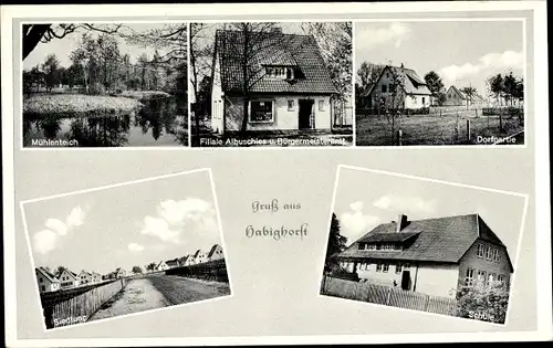 Ak Habighorst in Niedersachsen, Siedlung, Schule, Mühlenteich, Dorfpartie, Geschäft