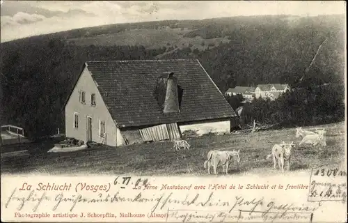 Ak Vosges Frankreich, La Schlucht, La ferme Montaboeuf avec l'Hotel de la Schlucht