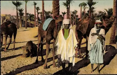 Ak Chameaux et Chameliers, Kamele, Maghreb