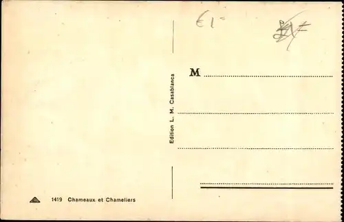 Ak Chameaux et Chameliers, Kamele, Maghreb