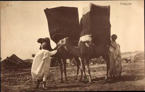 Ak Palanquins, Kamele mit Sänften