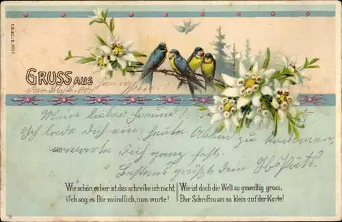 Ak Schwalben, Edelweiß