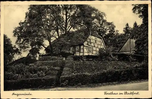 Ak Angermünde in der Uckermark, Forsthaus im Stadtforst