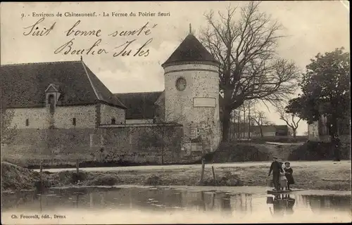 Ak Châteauneuf Eure et Loir, La Ferme du Poirier fleuri