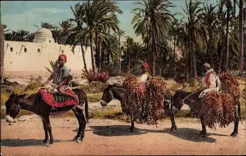 Ak Afrika, Retour a l'Oasis, Esel, Datteln