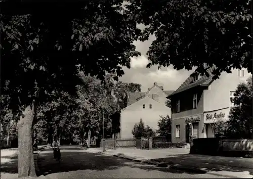 Ak Berlin Treptow Bohnsdorf, Buntzelstraße, Geschäft