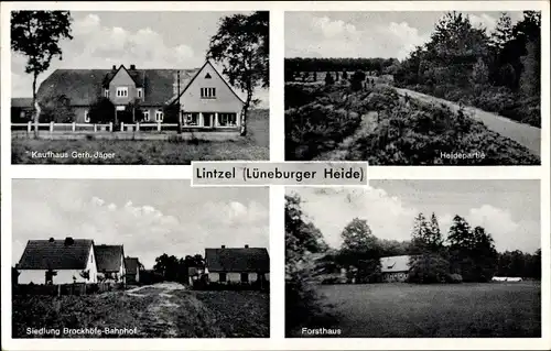 Ak Lintzel Wriedel in der Lüneburger Heide, Forsthaus, Kaufhaus, Siedlung Brockhöfe Bahnhof