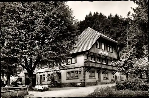 Ak Bad Rippoldsau im Schwarzwald, Pension zur Holzwälderhöhe
