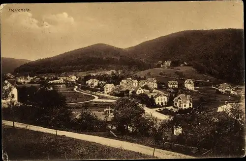 Ak Bad Herrenalb im Schwarzwald, Gesamtansicht