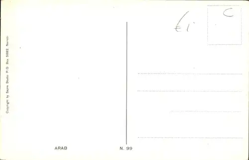 Ak Araber, Portrait, Schirm, Turban