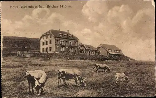 Ak Aitern in Baden Württemberg, Belchenhotel, Hotel Belchenhaus, Kuhweide