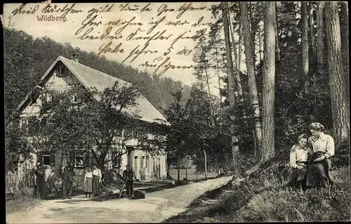 Ak Wildberg im Schwarzwald Württemberg, Gasthof, Waldpartie
