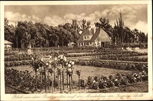 Ak Forst in der Niederlausitz, Musterhaus der Eigenen Scholle, Rosen- u. Gartenbauausstellung 1913