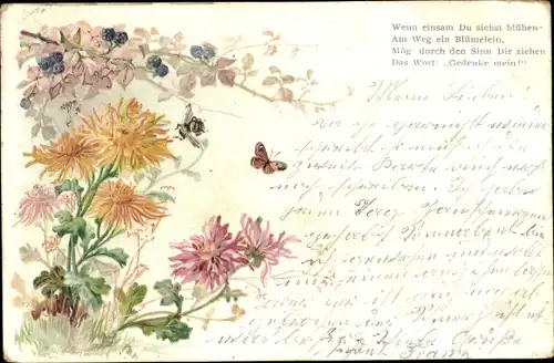Litho Schmetterling, Biene, Brombeeren, Dahlien, Wenn einsam Du siehst blühen