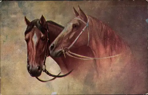 Künstler Ak Zwei braune Pferde mit Zaumzeug