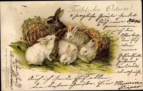 Litho Glückwunsch Ostern, Vier weiße und ein schwarzer Hase
