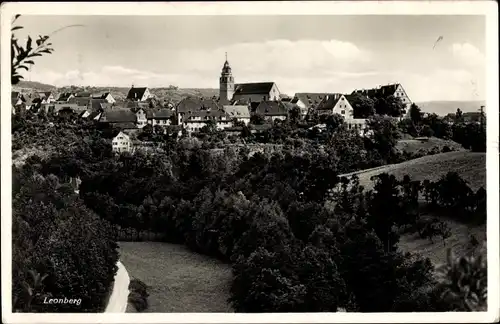 Ak Leonberg in Württemberg, Gesamtansicht
