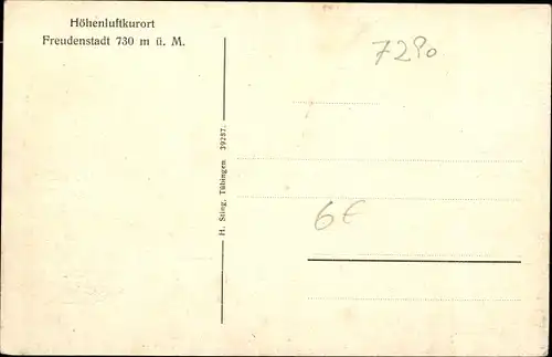 Ak Freudenstadt im Nordschwarzwald, Waldpartie