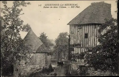 Ak Courtonne la Meurdrac Calvados, Ruines du vieux Chateau