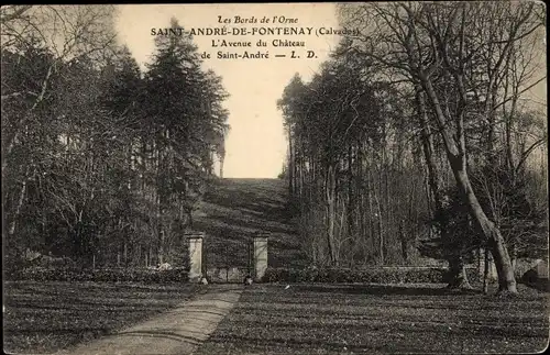 Ak Saint André de Fontenay Calvados, L' avenue du Château