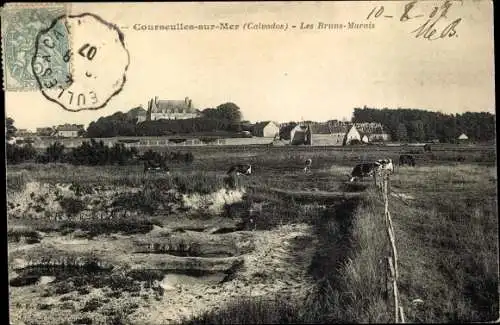 Ak Courseulles sur Mer Calvados, Les Bruns Marois