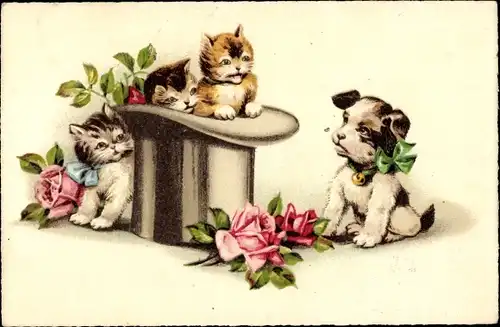 Ak Drei kleine Katzen und ein Hund, Rosen, Zylinder