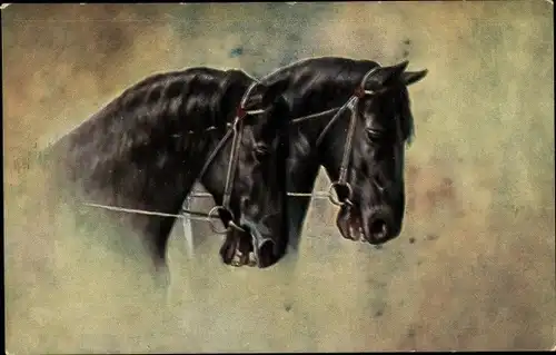 Künstler Ak Zwei schwarze Pferde mit Zaumzeug, Zugpferde