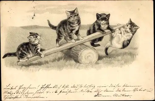 Litho Hauskatzen auf einer Wippe