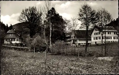 Ak Ehlenbogen Alpirsbach im Schwarzwald, Mittlere Mühle, Ortspartie, Wiese