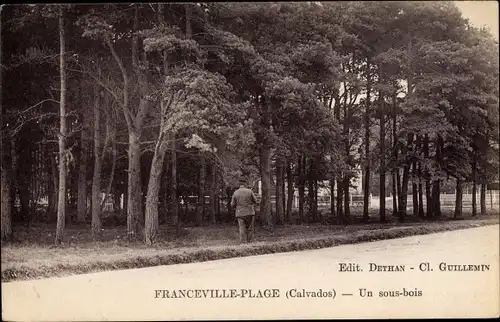 Ak Franceville Plage Calvados, Un sous bois