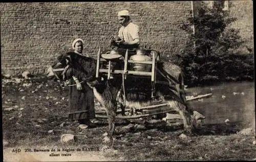 Ak Bayeux Calvados, Servante de la Région allant traire, Esel, Milchtransport