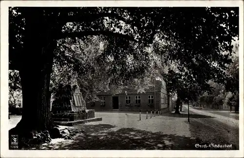 Ak Groß Schönebeck Schorfheide Brandenburg, Ortsansicht, Ehrenmal, Haus, Baum