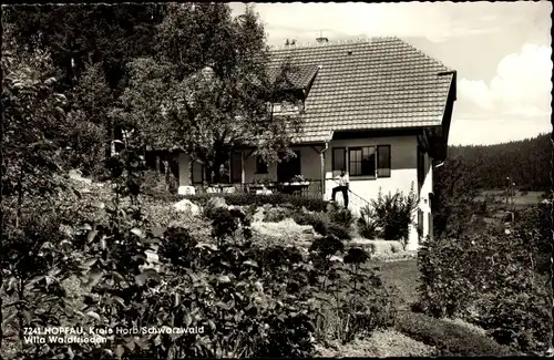 Ak Hopfau Sulz am Neckar, Villa Waldfrieden