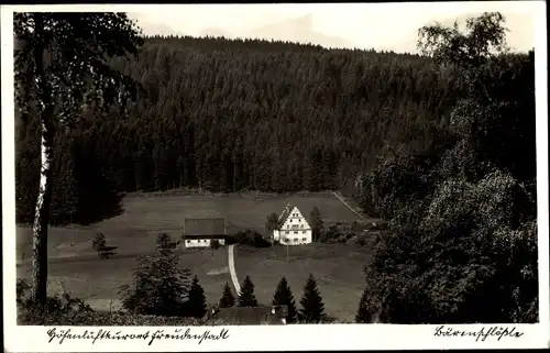 Ak Freudenstadt im Nordschwarzwald, Bärenschlößle, Pension