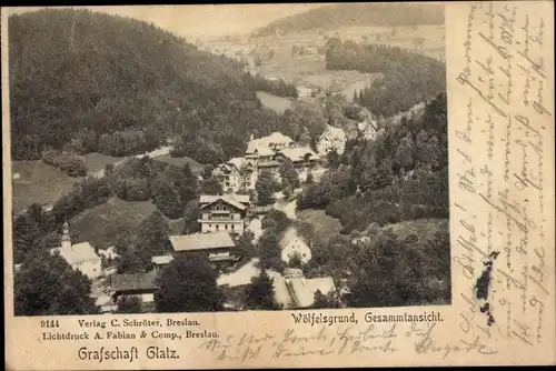 Ak Międzygórze Wölfelsgrund Schlesien, Totalansicht der Ortschaft