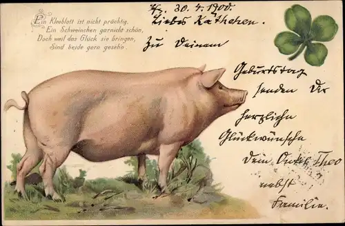 Litho Ein Kleeblatt ist nicht prächtig, ein Schweinchen gar nicht schön, Glücksbringer