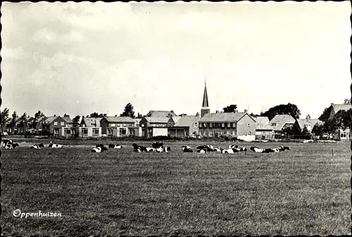 Ak Oppenhuizen Toppenhuzen Friesland Niederlande, Blick auf den Ort, Kühe