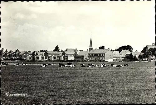 Ak Oppenhuizen Toppenhuzen Friesland Niederlande, Blick auf den Ort, Kühe