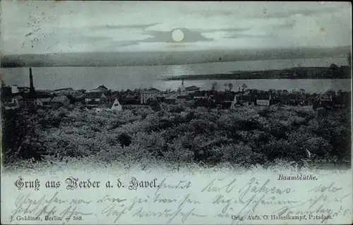 Mondschein Ak Werder an der Havel, Teilansicht, Baumblüte