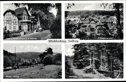 Ak Mühlenberg im Solling Holzminden an der Weser, Gasthaus und Pensionshaus Sollingsruh, Waldweg