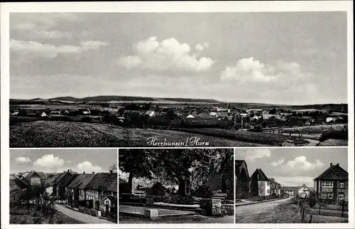 Ak Herrhausen Seesen am Harz, Panorama, Siedlung, Ehrenmal