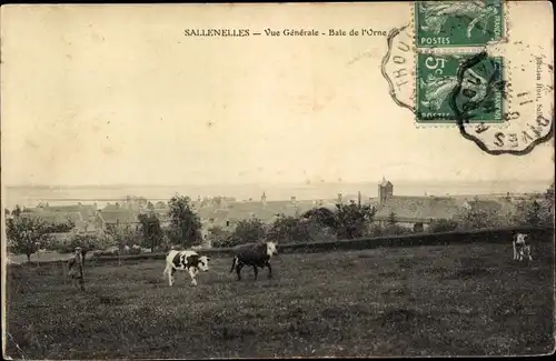 Ak Sallenelles Calvados, Vue Generale, Kühe, Baie de l'Orne