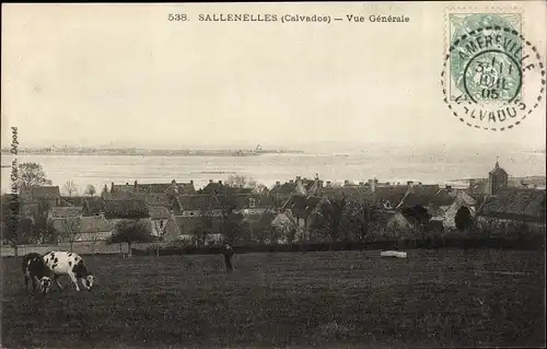 Ak Sallenelles Calvados, Vue Generale