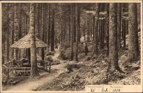 Ak Freudenstadt im Nordschwarzwald, Palmenwald, Pavillon