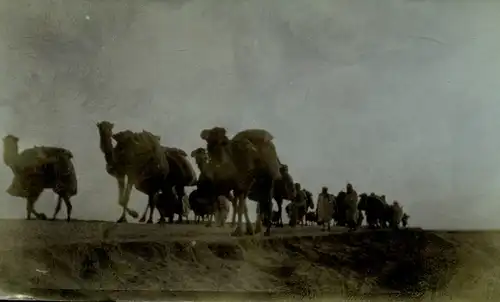 Foto um 1900, Kamele, Karawane, Beduinen