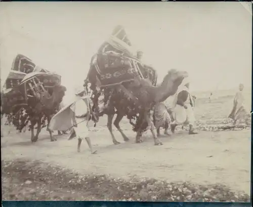 Foto um 1900, Arabischer Hochzeitszug, Palanquin, Kamele mit Sänfte