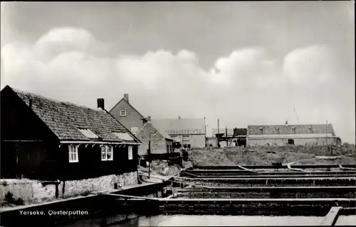 Ak Ierseke Yerseke Reimerswaal Zeeland, Oesterputten
