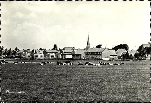 Ak Oppenhuizen Toppenhuzen Friesland Niederlande, Blick auf den Ort, Kühe